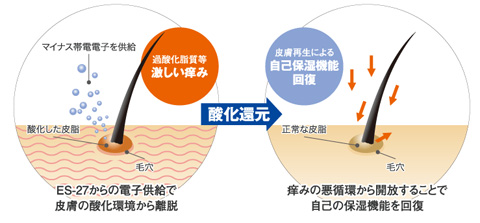 保湿剤に頼らない自己保湿機能の回復へ